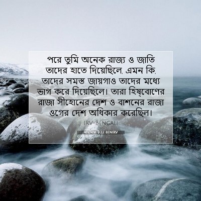 Picture 07 - নহিমিয়া 9:22 BENIRV - পরে তুমি অনেক - Bible Verse Picture