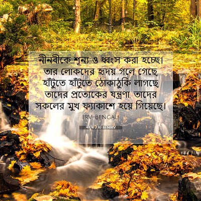 Picture 07 - নহূম 2:10 BENIRV - নীনবীকে শূন্য ও - Bible Verse Picture