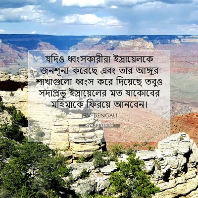 Picture 07 - নহূম 2:2 BENIRV - যদিও ধ্বংসকারীরা - Bible Verse Picture
