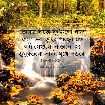 Picture 07 - নহূম 3:12 BENIRV - তোমার সমস্ত - Bible Verse Picture