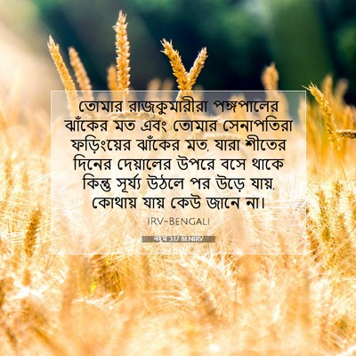Picture 07 - নহূম 3:17 BENIRV - তোমার রাজকুমারীরা - Bible Verse Picture