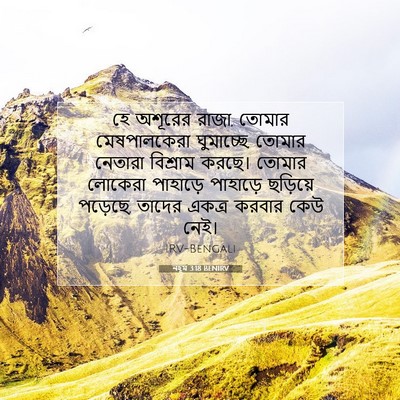 Picture 07 - নহূম 3:18 BENIRV - হে অশূরের রাজা, - Bible Verse Picture