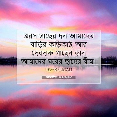 Picture 07 - পৰমগীত 1:17 BENIRV - এরস গাছের দল - Bible Verse Picture