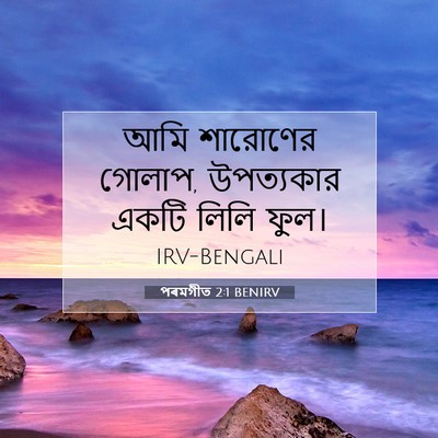 Picture 07 - পৰমগীত 2:1 BENIRV - আমি শারোণের গোলাপ, - Bible Verse Picture