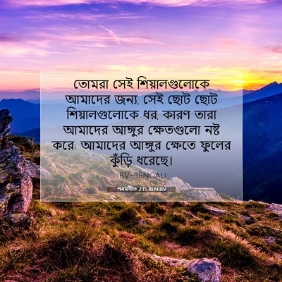 Picture 07 - পৰমগীত 2:15 BENIRV - তোমরা সেই - Bible Verse Picture
