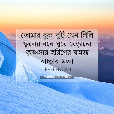 Picture 07 - পৰমগীত 4:5 BENIRV - তোমার বুক দুটি যেন - Bible Verse Picture