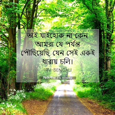 Picture 07 - ফিলিপীয়া 3:16 BENIRV - তাই যাইহোক না কেন, - Bible Verse Picture