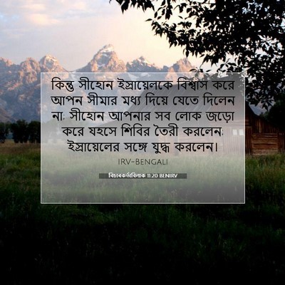 Picture 07 - বিচাৰকর্তাবিলাক 11:20 BENIRV - কিন্তু সীহোন - Bible Verse Picture