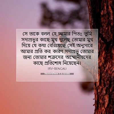 Picture 07 - বিচাৰকর্তাবিলাক 11:36 BENIRV - সে তাকে বলল, হে - Bible Verse Picture