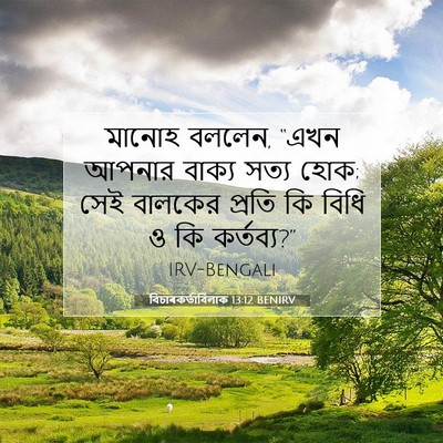 Picture 07 - বিচাৰকর্তাবিলাক 13:12 BENIRV - মানোহ বললেন, “এখন - Bible Verse Picture