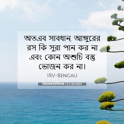 Picture 07 - বিচাৰকর্তাবিলাক 13:4 BENIRV - অতএব সাবধান, - Bible Verse Picture
