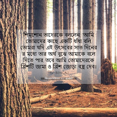 Picture 07 - বিচাৰকর্তাবিলাক 14:12 BENIRV - শিম্‌শোন তাদেরকে - Bible Verse Picture