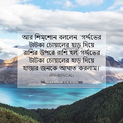 Picture 07 - বিচাৰকর্তাবিলাক 15:16 BENIRV - আর শিম্‌শোন বললেন, - Bible Verse Picture