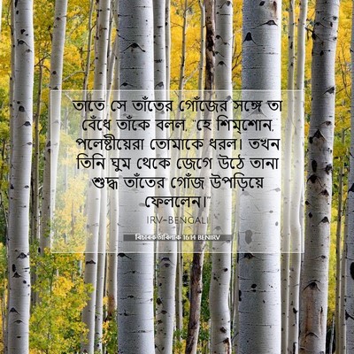 Picture 07 - বিচাৰকর্তাবিলাক 16:14 BENIRV - তাতে সে তাঁতের - Bible Verse Picture