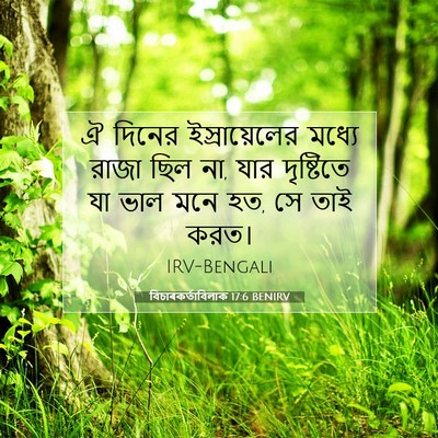 Picture 07 - বিচাৰকর্তাবিলাক 17:6 BENIRV - ঐ দিনের - Bible Verse Picture