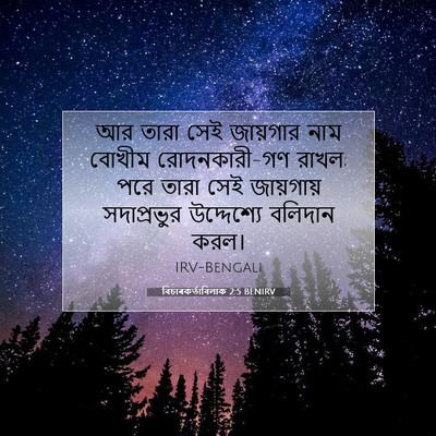Picture 07 - বিচাৰকর্তাবিলাক 2:5 BENIRV - আর তারা সেই - Bible Verse Picture