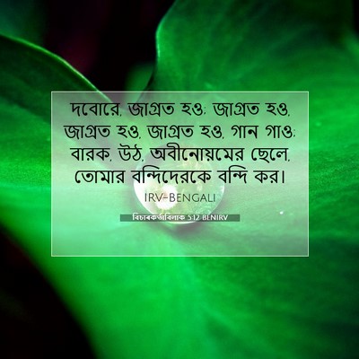 Picture 07 - বিচাৰকর্তাবিলাক 5:12 BENIRV - দবোরে, জাগ্রত হও; - Bible Verse Picture