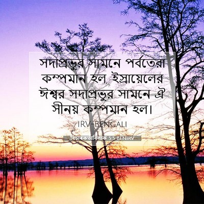 Picture 07 - বিচাৰকর্তাবিলাক 5:5 BENIRV - সদাপ্রভুর সামনে - Bible Verse Picture