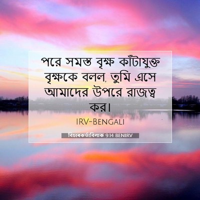 Picture 07 - বিচাৰকর্তাবিলাক 9:14 BENIRV - পরে সমস্ত বৃক্ষ - Bible Verse Picture