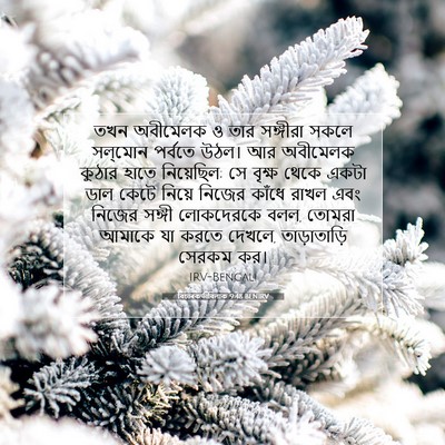 Picture 07 - বিচাৰকর্তাবিলাক 9:48 BENIRV - তখন অবীমেলক ও তার - Bible Verse Picture