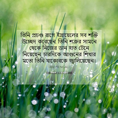 Picture 07 - বিলাপ 2:3 BENIRV - তিনি প্রচণ্ড রাগে - Bible Verse Picture