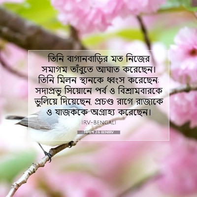 Picture 07 - বিলাপ 2:6 BENIRV - তিনি বাগানবাড়ির - Bible Verse Picture
