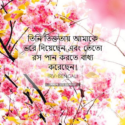Picture 07 - বিলাপ 3:15 BENIRV - তিনি তিক্ততায় - Bible Verse Picture