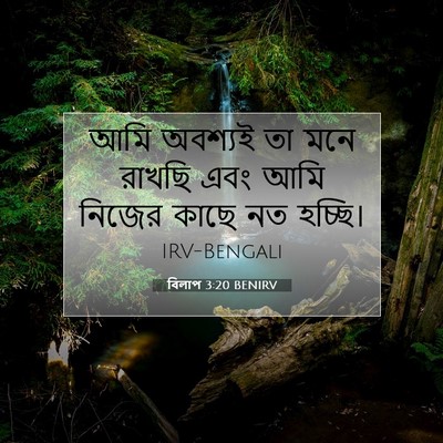 Picture 07 - বিলাপ 3:20 BENIRV - আমি অবশ্যই তা মনে - Bible Verse Picture