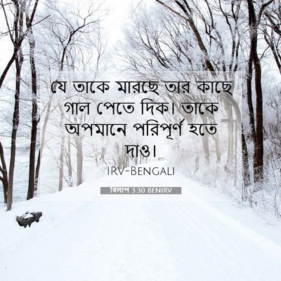 Picture 07 - বিলাপ 3:30 BENIRV - যে তাকে মারছে তার - Bible Verse Picture