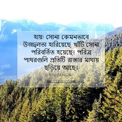 Picture 07 - বিলাপ 4:1 BENIRV - হায়! সোনা - Bible Verse Picture