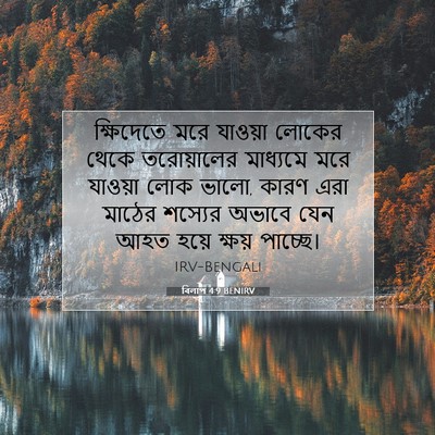 Picture 07 - বিলাপ 4:9 BENIRV - ক্ষিদেতে মরে - Bible Verse Picture
