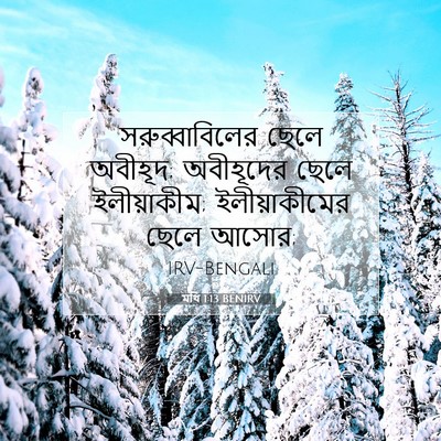 Picture 07 - মথি 1:13 BENIRV - সরুব্বাবিলের ছেলে - Bible Verse Picture