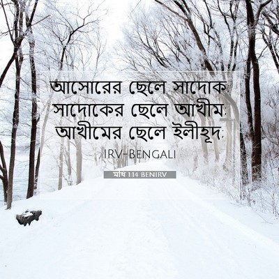 Picture 07 - মথি 1:14 BENIRV - আসোরের ছেলে সাদোক; - Bible Verse Picture