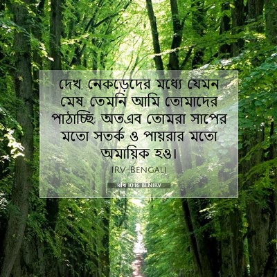 Picture 07 - মথি 10:16 BENIRV - দেখ, নেকড়েদের - Bible Verse Picture