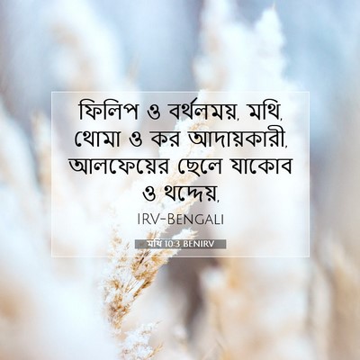 Picture 07 - মথি 10:3 BENIRV - ফিলিপ ও বর্থলময়, - Bible Verse Picture