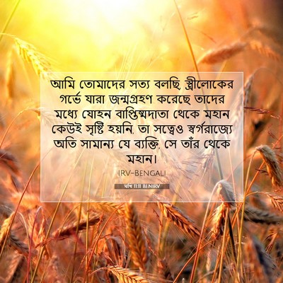 Picture 07 - মথি 11:11 BENIRV - আমি তোমাদের সত্য - Bible Verse Picture