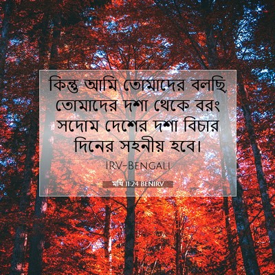 Picture 07 - মথি 11:24 BENIRV - কিন্তু আমি - Bible Verse Picture