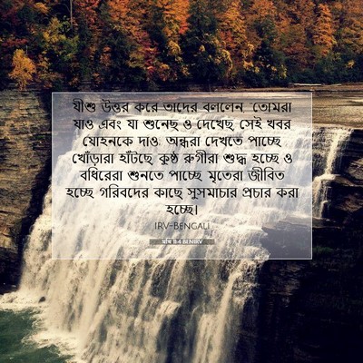 Picture 07 - মথি 11:4 BENIRV - যীশু উত্তর করে - Bible Verse Picture