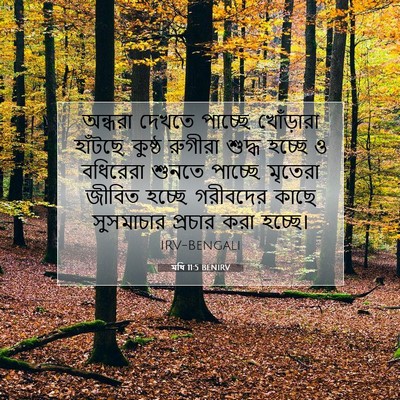 Picture 07 - মথি 11:5 BENIRV - অন্ধরা দেখতে - Bible Verse Picture