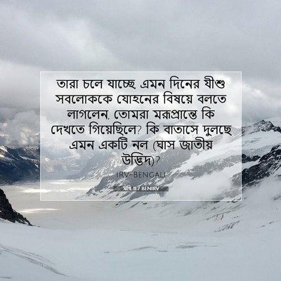 Picture 07 - মথি 11:7 BENIRV - তারা চলে যাচ্ছে, - Bible Verse Picture