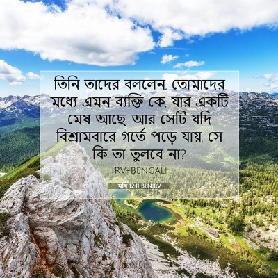 Picture 07 - মথি 12:11 BENIRV - তিনি তাদের বললেন, - Bible Verse Picture