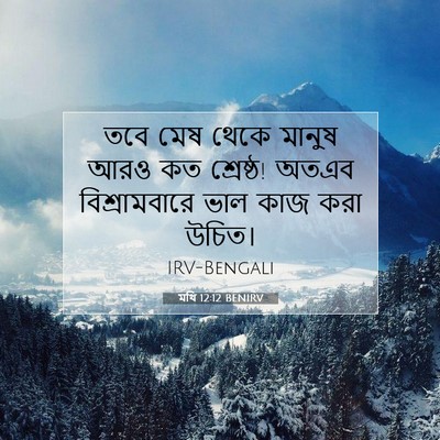 Picture 07 - মথি 12:12 BENIRV - তবে মেষ থেকে মানুষ - Bible Verse Picture