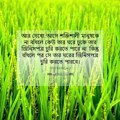 Picture 07 - মথি 12:29 BENIRV - আর দেখো, আগে - Bible Verse Picture