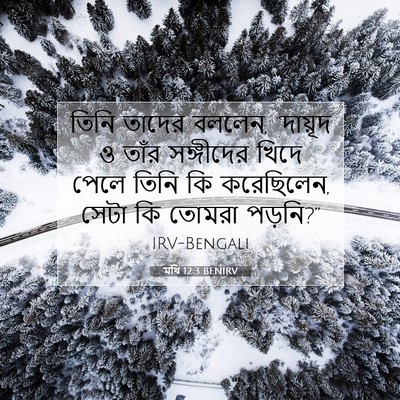 Picture 07 - মথি 12:3 BENIRV - তিনি তাদের বললেন, - Bible Verse Picture