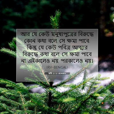 Picture 07 - মথি 12:32 BENIRV - আর যে কেউ - Bible Verse Picture