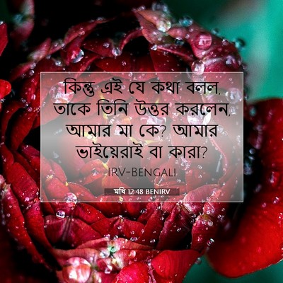 Picture 07 - মথি 12:48 BENIRV - কিন্তু এই যে কথা - Bible Verse Picture