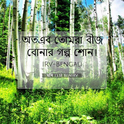 Picture 07 - মথি 13:18 BENIRV - অতএব তোমরা বীজ - Bible Verse Picture