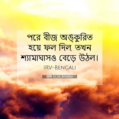Picture 07 - মথি 13:26 BENIRV - পরে বীজ অঙ্কুরিত - Bible Verse Picture