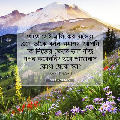 Picture 07 - মথি 13:27 BENIRV - তাতে সেই মালিকের - Bible Verse Picture