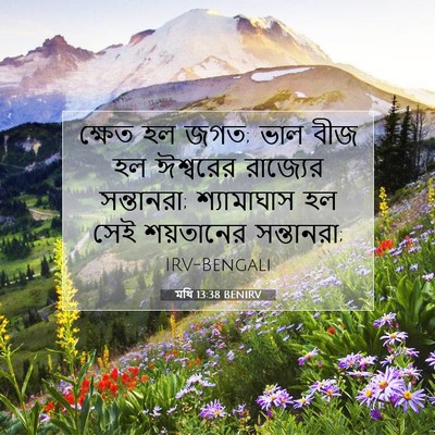 Picture 07 - মথি 13:38 BENIRV - ক্ষেত হল জগত; ভাল - Bible Verse Picture